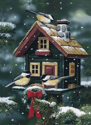 Winter Birdhouse Charity Holiday Card supporting the Environmental Defense Fund