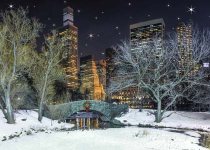 Central Park Winter Night Holiday Card