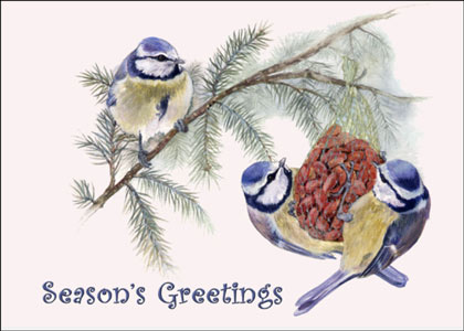 Treat Time Second Harvest Charity Christmas Card