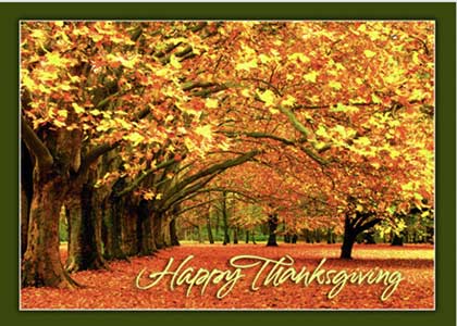 Canopy of Gold Thanksgiving Card