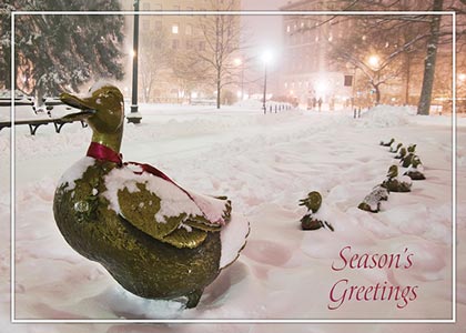 Boston Ducklings in Winter Holiday Card