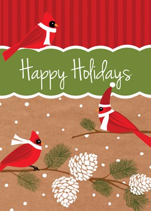 Cardinal Capers Charity Holiday Card