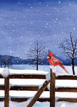 Feathered Friends Charity Holiday Card