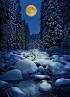 A serene moment is shown with this charity card featuring snow covered stones surrounded by towering evergreens with a full super moon rising in the background. Printed on recycled paper.
