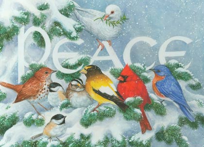 Peace Birds Charity Holiday Card supporitng the Environmental Defense Fund