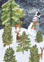 Snow Buddy charity holiday cards support the Environmental Defense Fund.  The cards are printed on 12 pt.  coated recycled paper.  The card includes a white, unlined, square flap envelope.