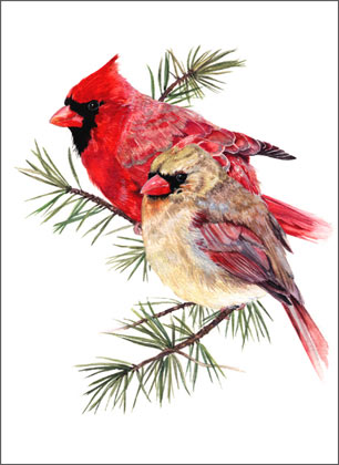 Love Birds (ED1434) Environmentl Defense charity holiday cards from Artline Greetings