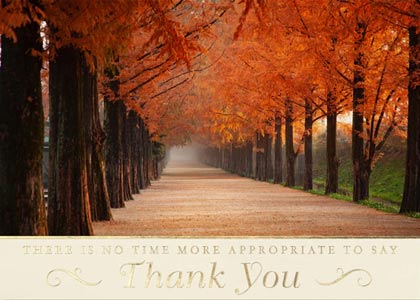 Path of Gratitude Thanksgiving Cards