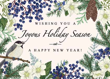 Blueberry Holidays Blueberry Holidays
